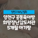 수유제1동 주민센터 | 5개월 아기 양천구 공동육아방 신세계희망 장난감도서관 방문후기 장난감 추천