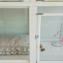 세상 편하개 이미지