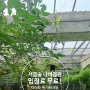 서울숲 나비정원 후기｜입장료 무료, 아이와 꼭 가봐야 할 서울 실내 놀거리