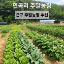 연곡리 농장 이미지