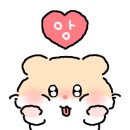 캣츠앤미 이미지