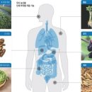 한경이네 농산물 이미지