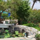 부적면사무소 이미지