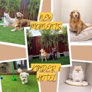 바우라움 메인캠퍼스 이미지