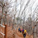 [2023년 2월 26일 일요일] 거제 지맥 노자/가라/망산 탁 트인 쪽빛바다 종주 산행안내 이미지