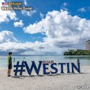 테이스트 바이 테이스트 | 괌 호텔 추천 웨스틴 리조트 뷔페 조식 테이스트 디너 후기