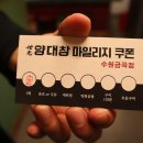 호매실벚꽃음식문화거리 이미지