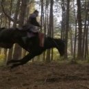 태종동물병원 이미지