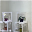 아트인미술학원 이미지