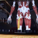 팀에이치짐 이미지