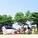 61호 어린이공원 네이버블로그