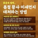 봄철 불청객, 황사·미세먼지 대처하는 방법 이미지