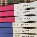 동남산전(주) 이미지