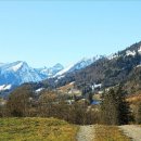 범브로하우스 이미지