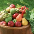 구대한의원 이미지