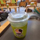 하니캣 | 동성로 고양이카페 &lt;말랑캣&gt; 아이와 방문 후기