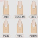네일혜 이미지