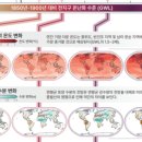 KB환경연구소
