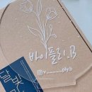 바이플리.B