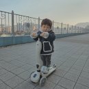 YK | 아기 킥보드 타는시기 YK스쿠터 내돈내산 사용후기