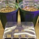 솔마1로 이미지