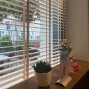 은수MALL | [비엔나 3박 4일 4일차] Das Kimchi, Teeamo 버블티🧋, 비엔나 타이 마사지 강추, Mooons 호텔 후기