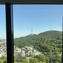 남산데이지 | 서울 그랜드하얏트 남산뷰 후기 2편(수영장,부대시설, 조식)