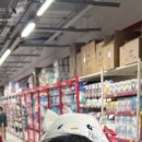 (유)스카이 투어 이미지