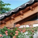 환화원