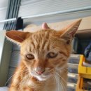 제일종합정비 이미지