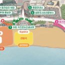 낭만고등어 이미지