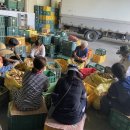 눈비산마을 공동체 농장 | [모집] 2025년 한살림 생산지 ‘눈비산마을’에서 한해 농사 실습 할 분을 모십니다