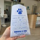 동물병원 더 하임 | 내돈내산]말티즈11살 심장병B2 진단 1년차 과잉진료없는 동물병원 &#34;더하임&#34;솔직후기