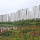반듯한치과의원 네이버블로그