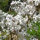 울산들꽃학습원 이미지