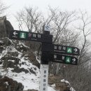 감나무식당 이미지