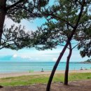 동산리 해수욕장 화장실 이미지