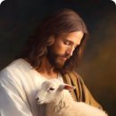 아낌없이주는나무 이미지