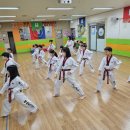 아이짐&박사태권도 네이버블로그