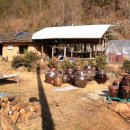 심심산골 이미지