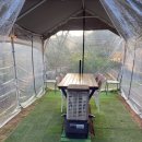 늘보펜션 이미지