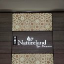 호주면세점 네이쳐위클리 | 싱가포르 창이공항 마사지 스파 Natureland, 쥬얼창이 가볼만한곳, 가격, 할인, 예약 정보