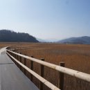 벌교생태공원 이미지