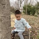 다숲어린이집 - 수원시 권선구 | 다숲어린이집