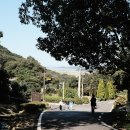 석모도수목원 | 강화도 가볼 만한 곳 석모도 수목원 [후지 xt-2]