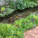 오즈카페 이미지