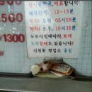 아지&냥이 이미지