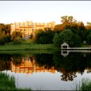 자작나무호텔 이미지