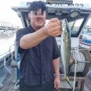 모슬포낚시편의점 | [서귀포 배낚시] 제주도에서 손맛 제대로 본 영일호 배낚시 체험 이야기