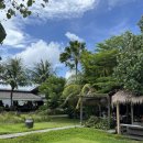 달과 함께 걷다 | 발리 한 달 살기 4 - 스미냑에서 2박을